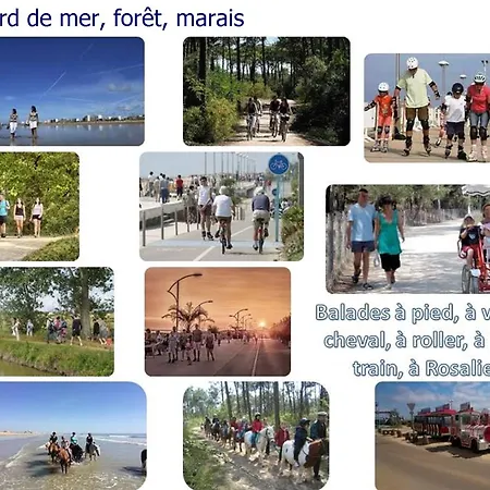 Appartement T2 Rénové Avec Balcon Et Vue à Jean De Monts - Fr-1-323-319